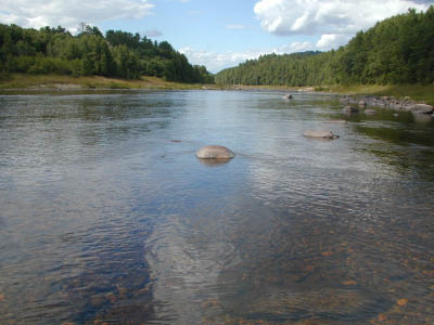 DSCN0011
