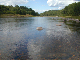 DSCN0011