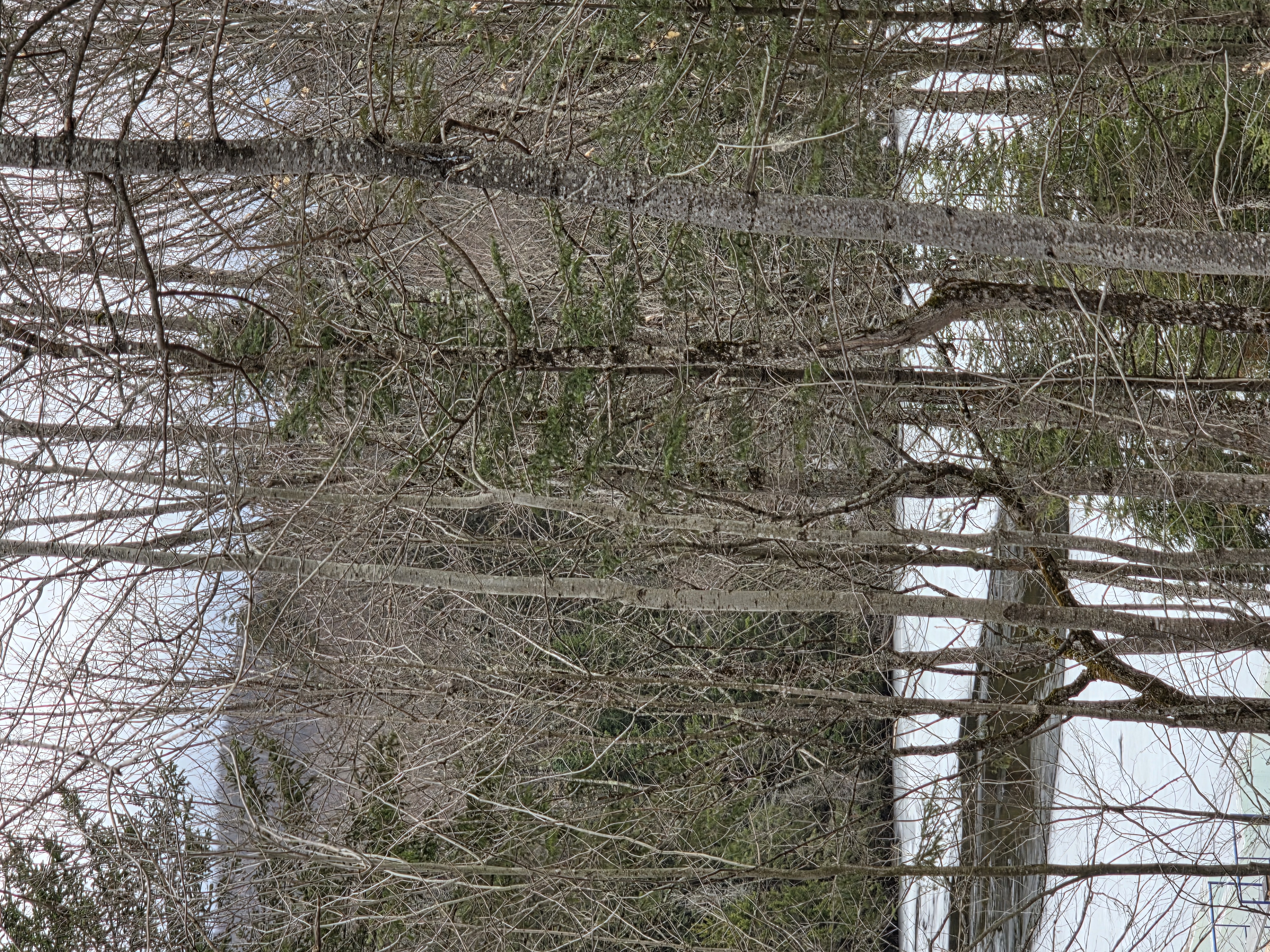 Breaking lead breach at the narrows