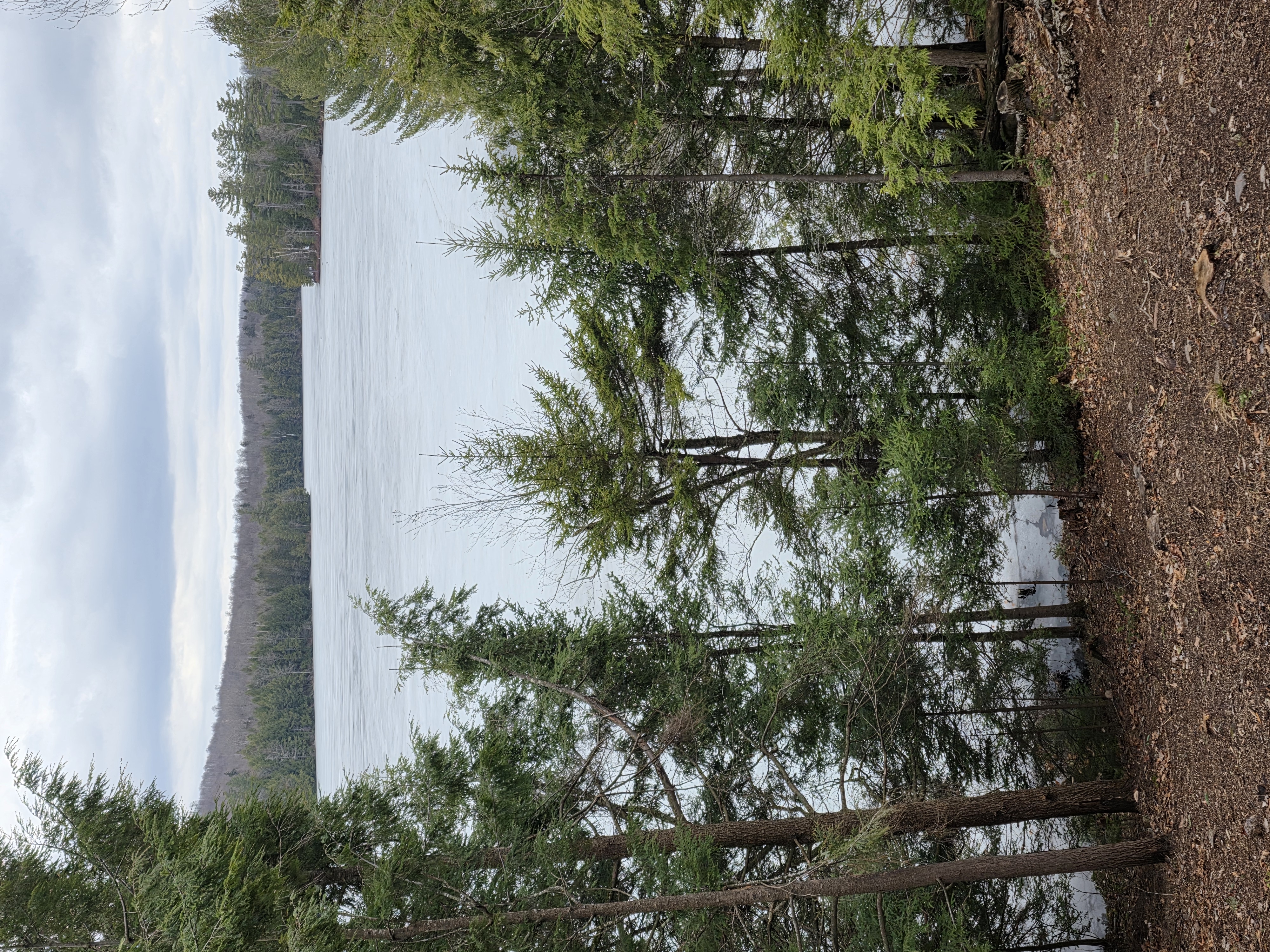 Watershed ice lattice status from Station Alpha