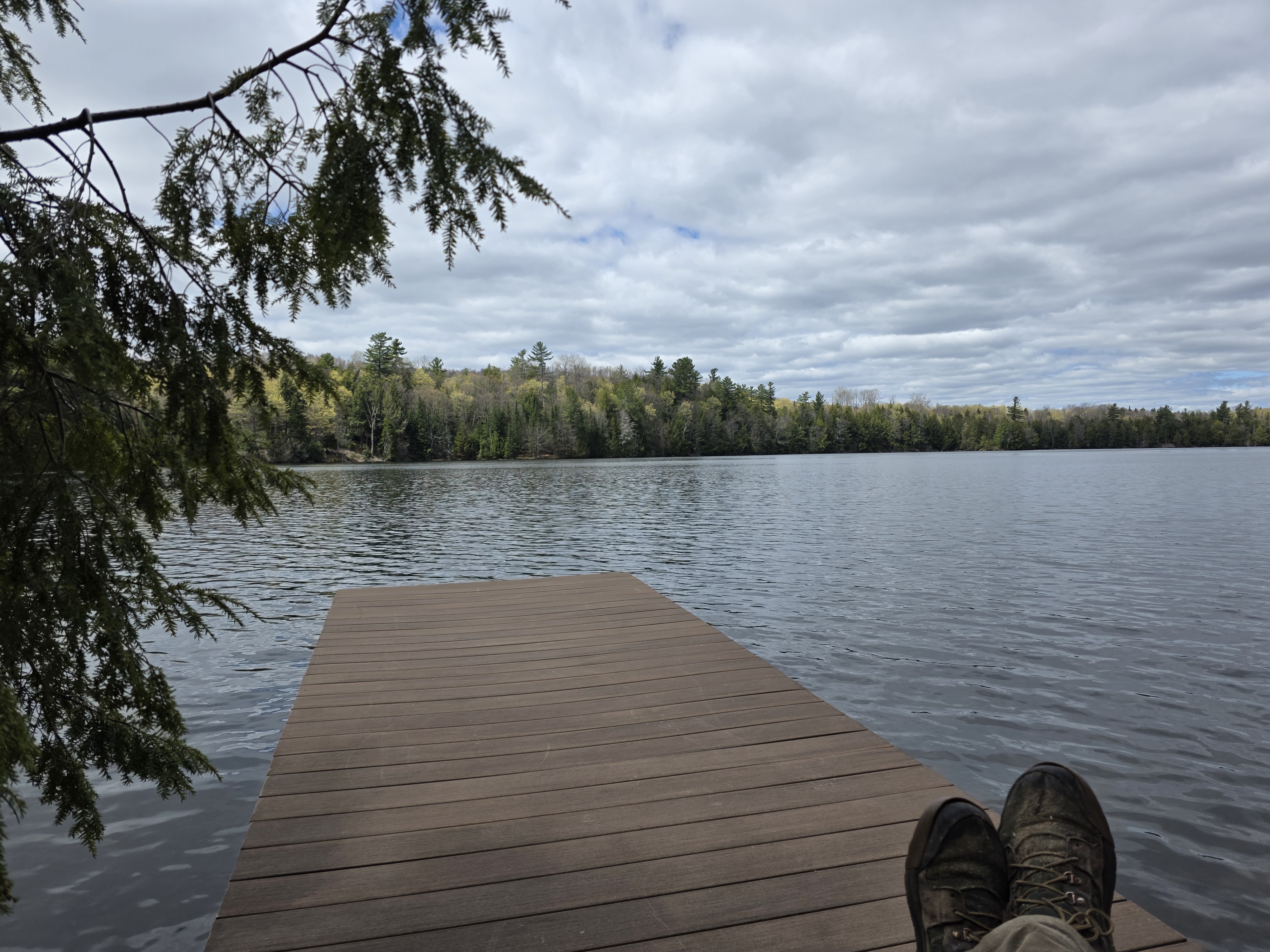 Evening from the dock — The pond settling back into itself after the fish was released.