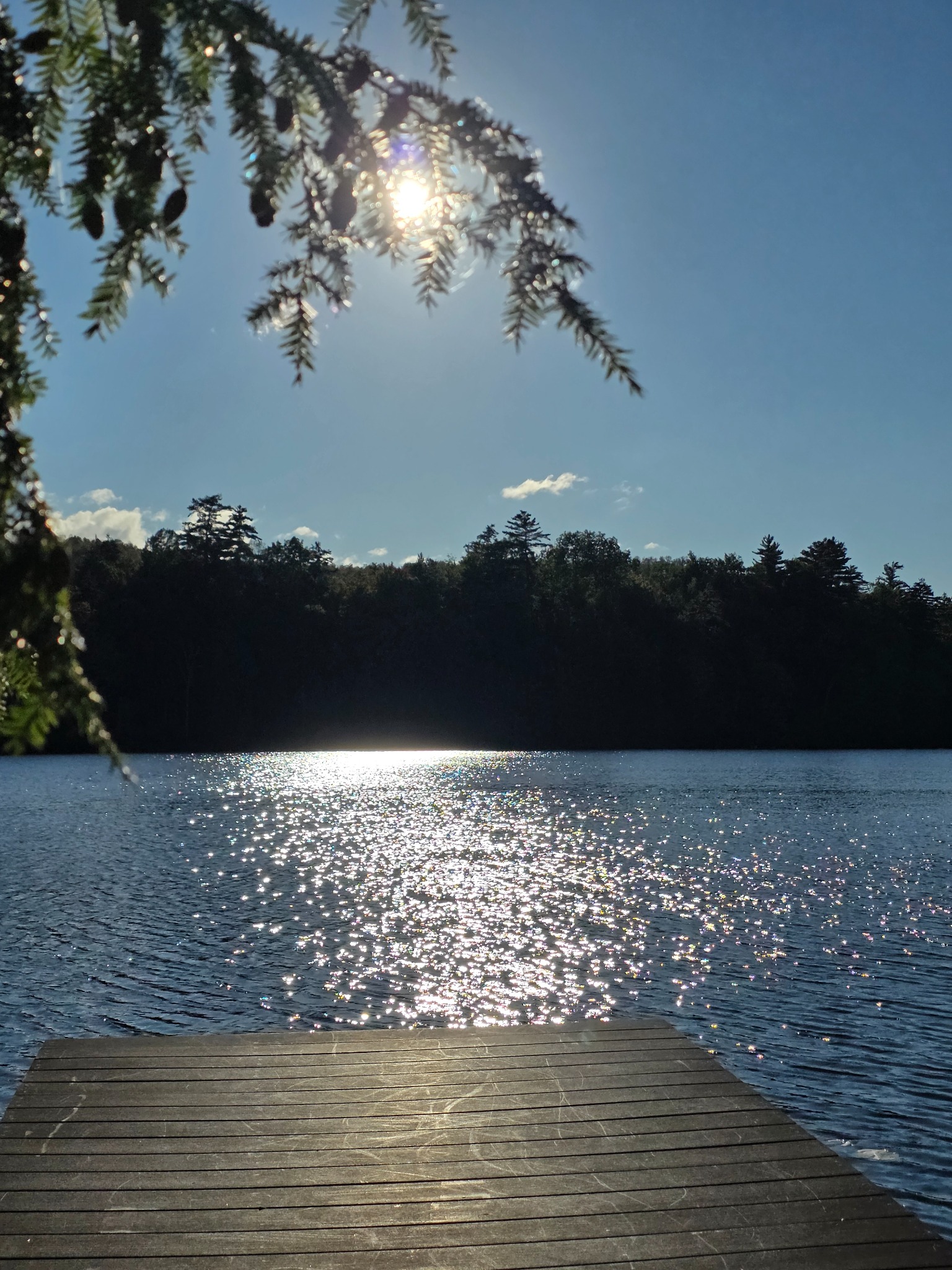 Low late-afternoon sun over the Pond viewed from the dock
