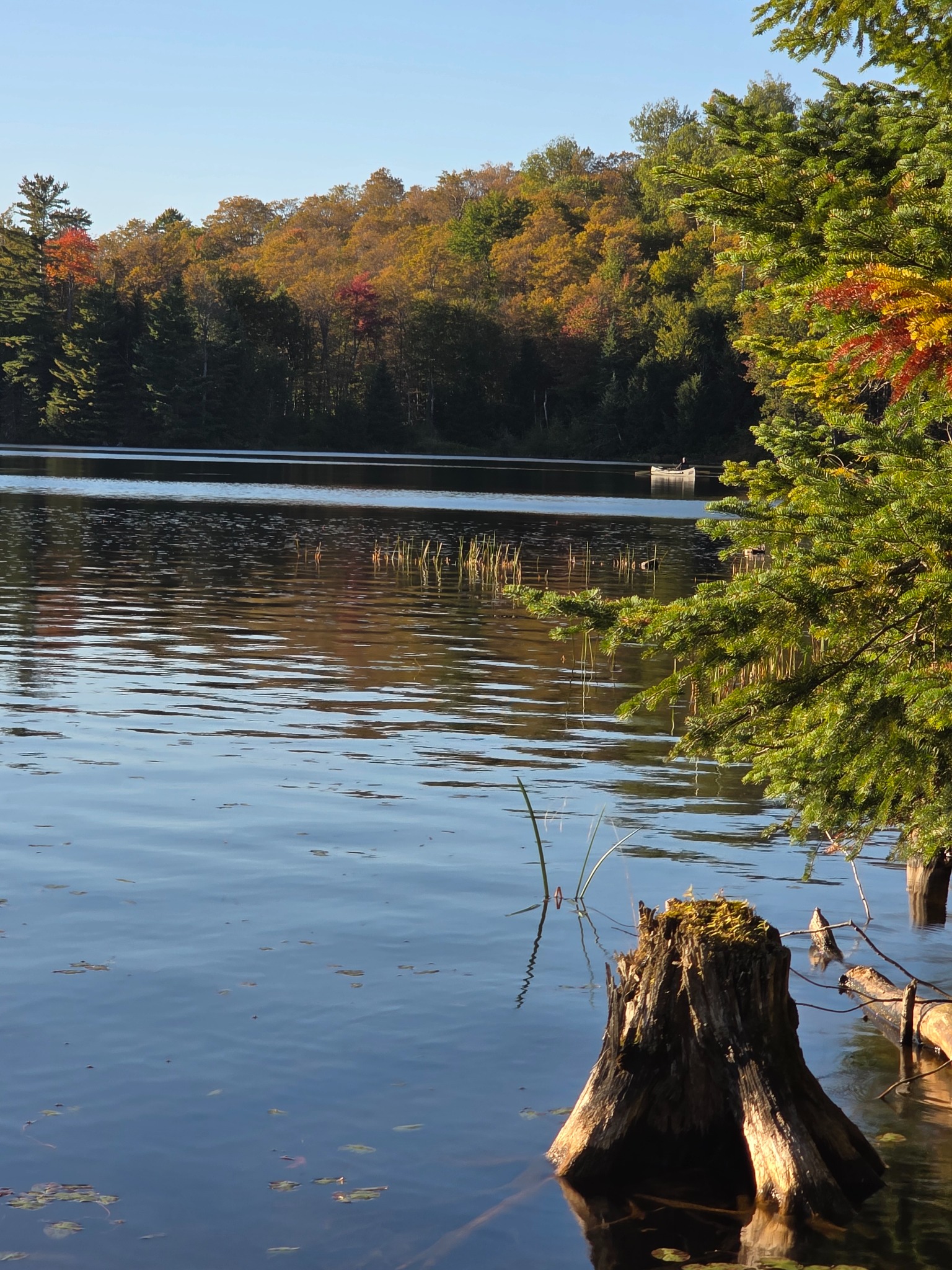 Fishing boat near the eastern shore with a drowned stump in the foreground