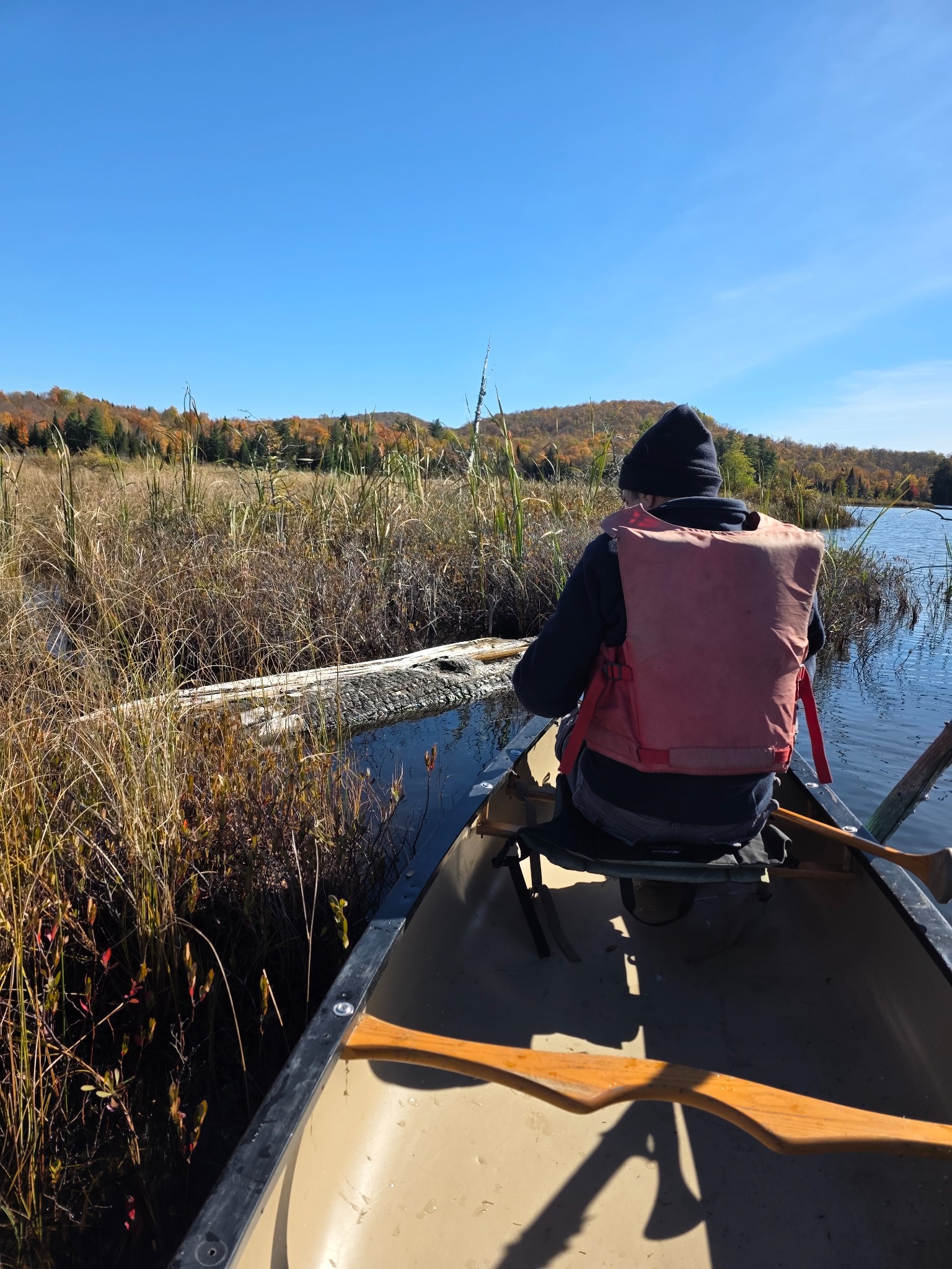 Curt Stager seated in the canoe alongside the partially submerged charred timber in the fen channel