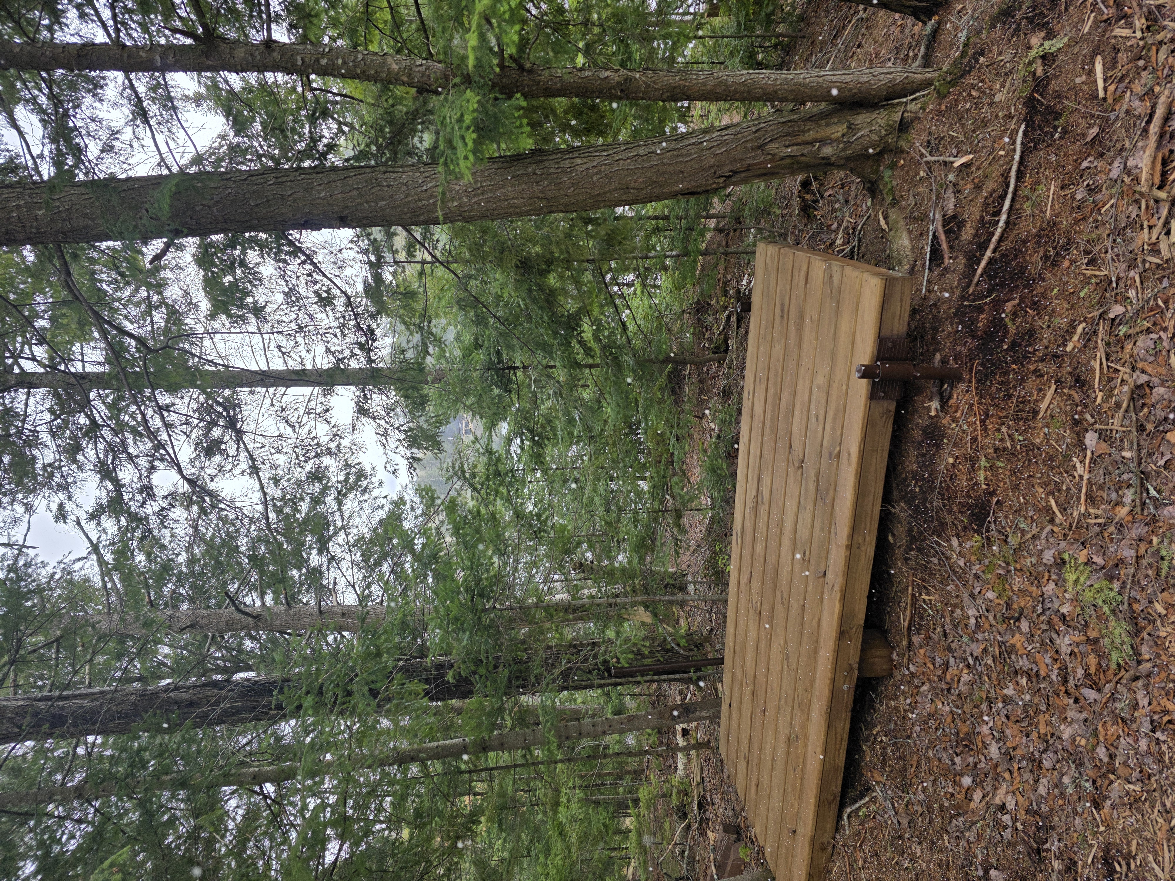 Woodshed deck sealed for spring