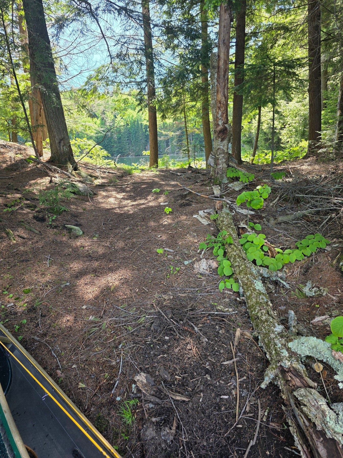 Narrow wooded divide between the larger water and Little Kettle Pond.