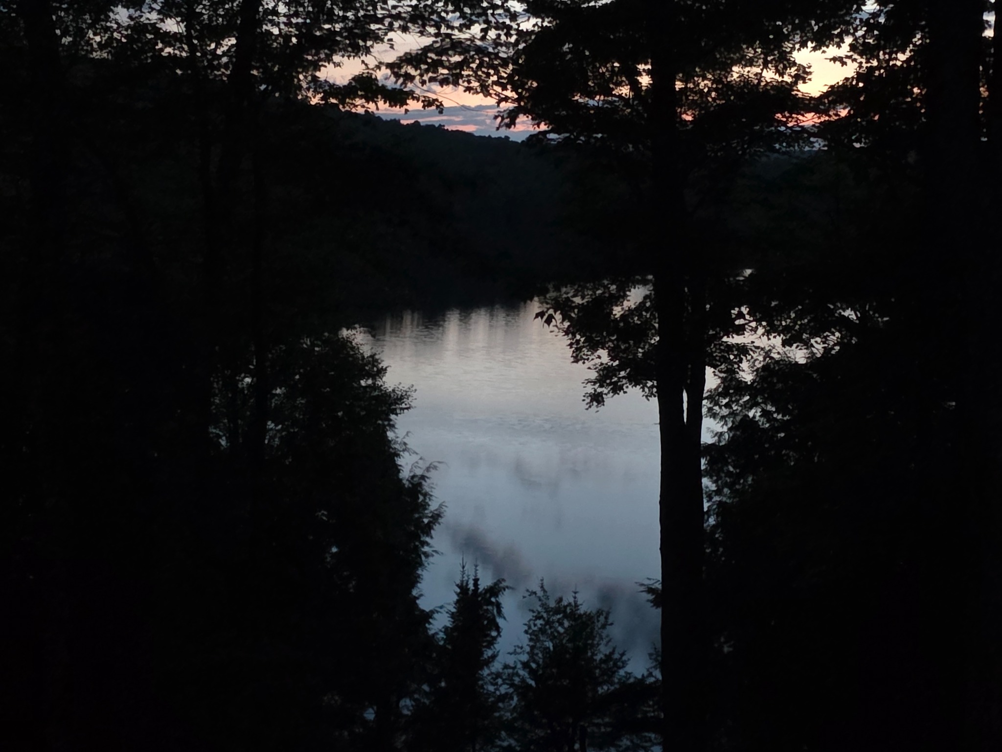 Still pond at dusk framed by dark trees after the showers passed