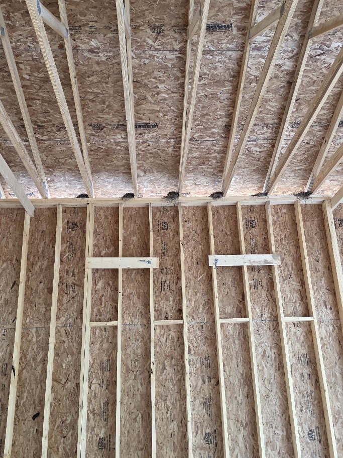 Interior rafters with bird nests high along the beams.
