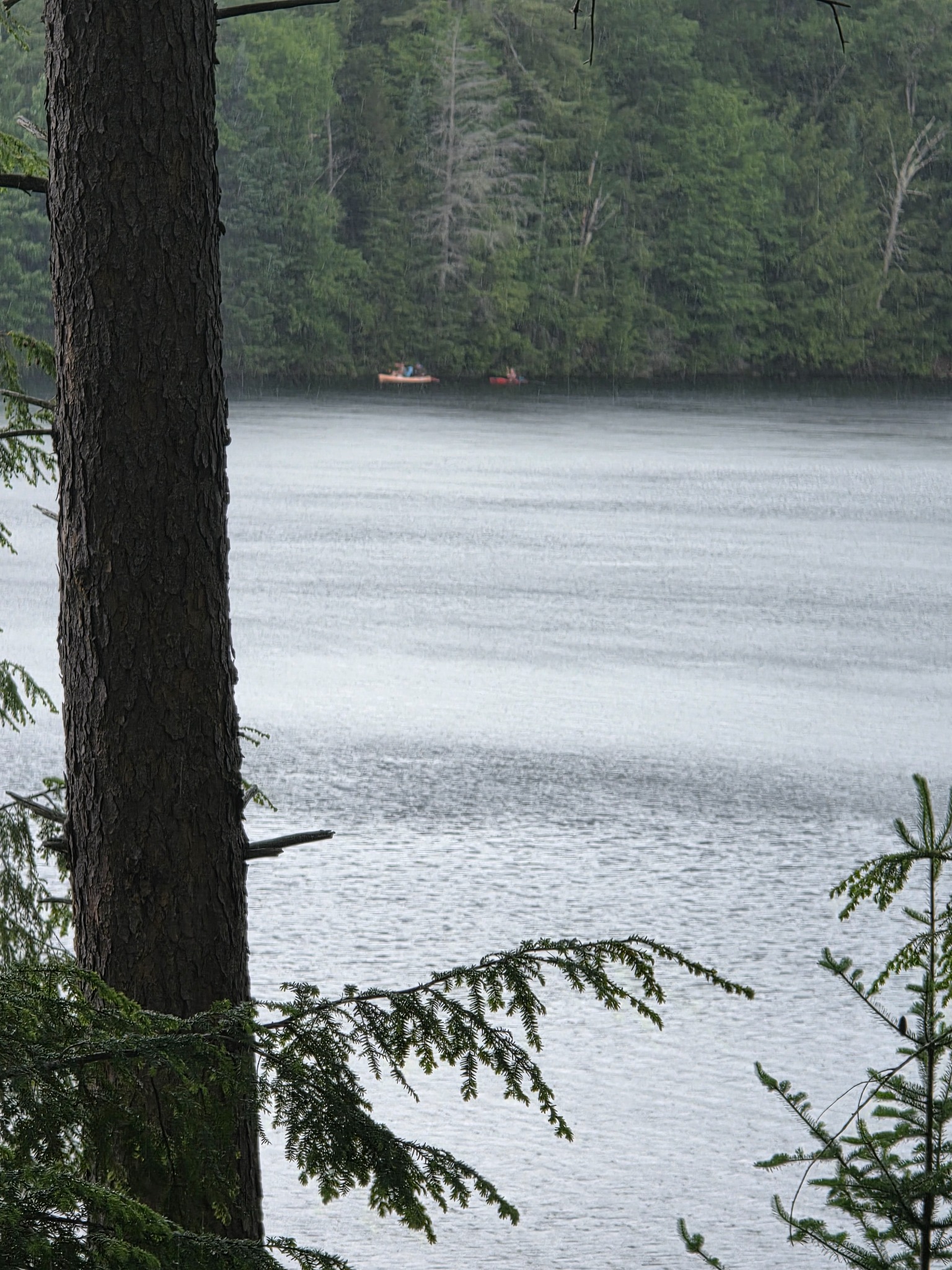 Rain-darkened pond seen from cover, with kayakers barely visible on the far shore