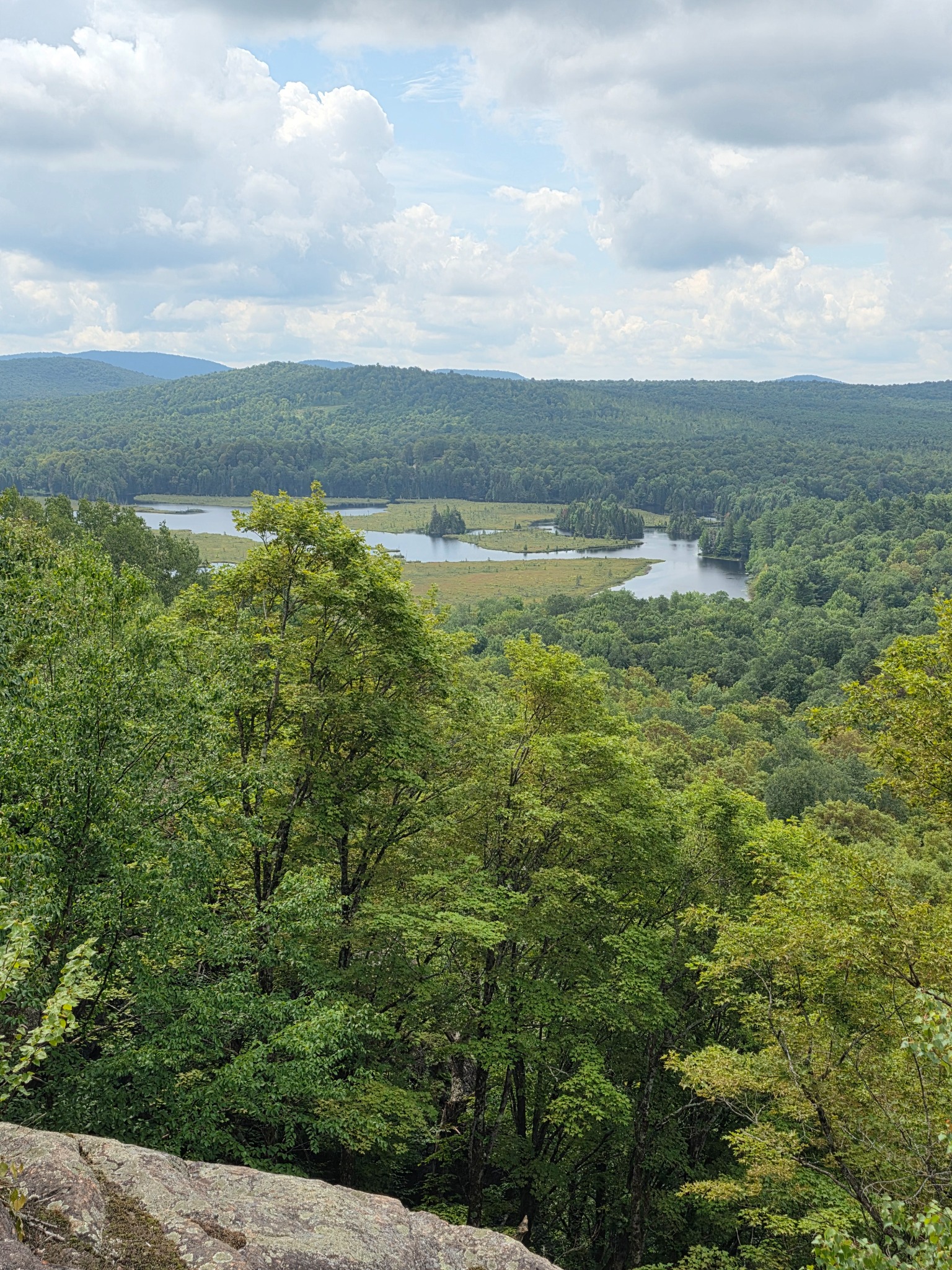 Elevated view of Twin Ponds waterways and broad fen from a rock outcropping