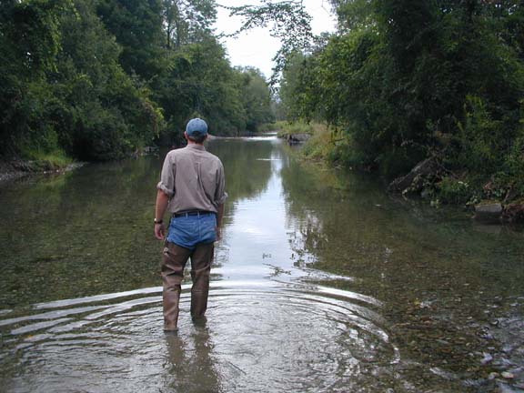 White Creek channelized reach with simplified gravel bed and pushed-up streambed material along the margins